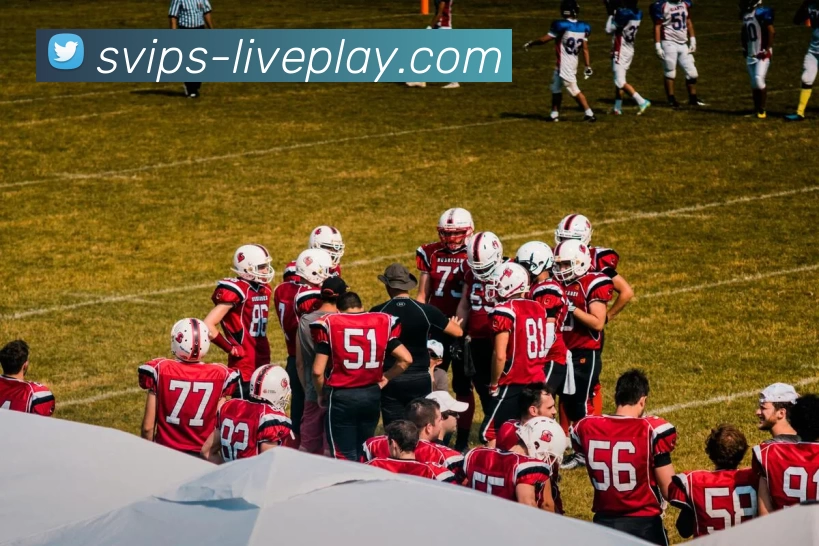 真人游戏官网品牌故事